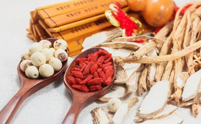 中域教育：自学中医的方法技巧
