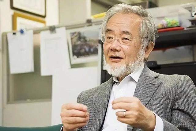 全球一流科学家榜单：美国632人，日本294人，中国有多少人？