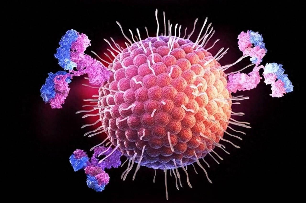 生殖器疱疹：全球4.9亿人感染！中国有多少人感染了？有1亿吗？