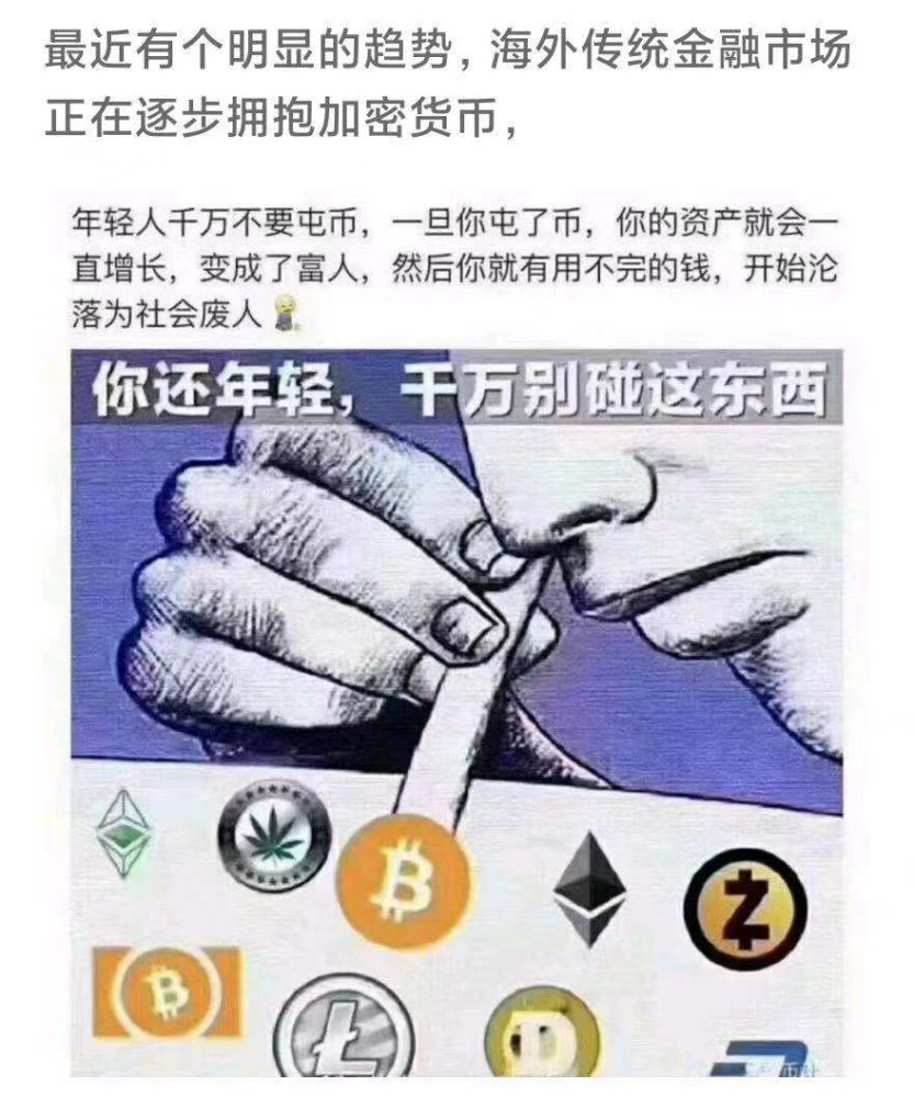 柚子币(eos币交易平台柚子币)