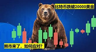 比特股(比特股巨蟹)