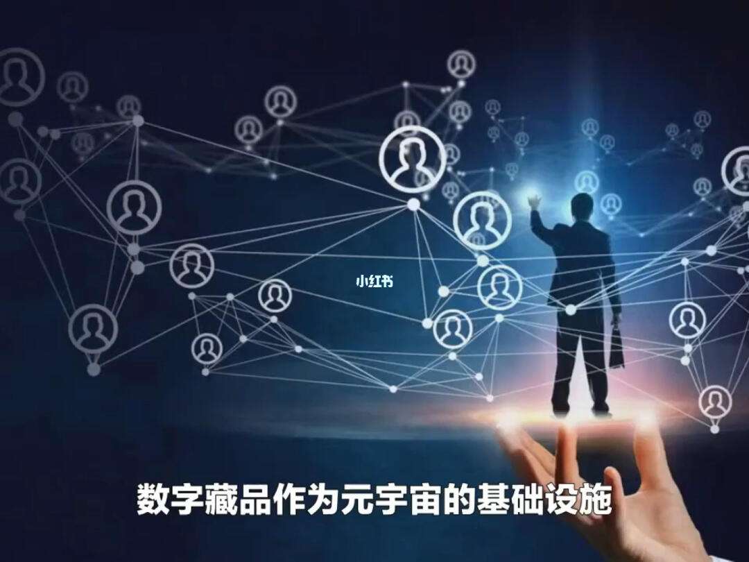 数藏(数藏是合法的吗)